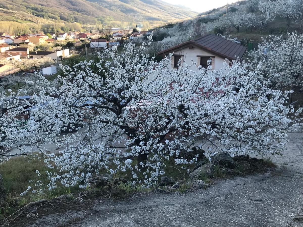 La Gargantilla Jerte Exteriér fotografie